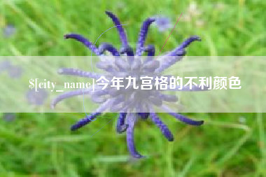 汕尾今年九宫格的不利颜色