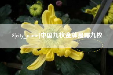 汕尾中国九枚金牌是哪九枚