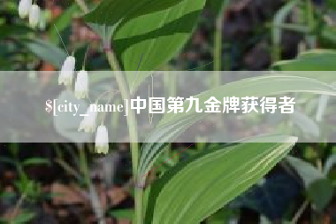 汕尾中国第九金牌获得者