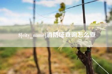 汕尾消防证查询怎么查