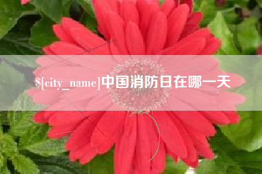 汕尾中国消防日在哪一天