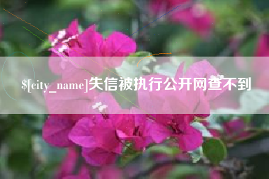 汕尾失信被执行公开网查不到