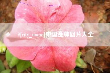 汕尾中国金牌图片大全