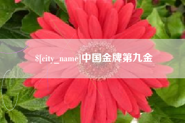 汕尾中国金牌第九金