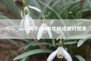 汕尾男子5000米年龄成绩对照表