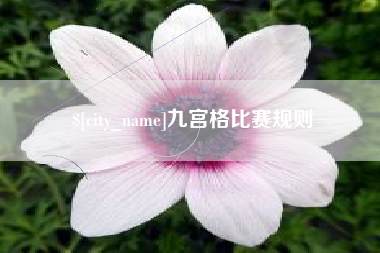 汕尾九宫格比赛规则