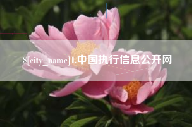 汕尾1.中国执行信息公开网