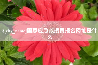 汕尾国家应急救援员报名网址是什么