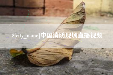 汕尾中国消防现场直播视频