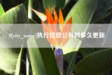 汕尾执行信息公开网多久更新