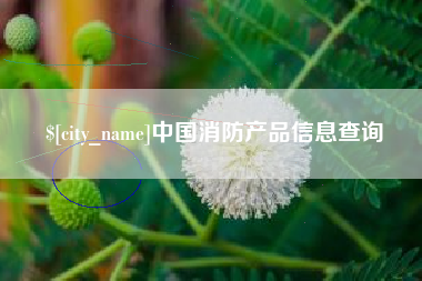 汕尾中国消防产品信息查询