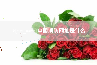 汕尾中国消防网址是什么