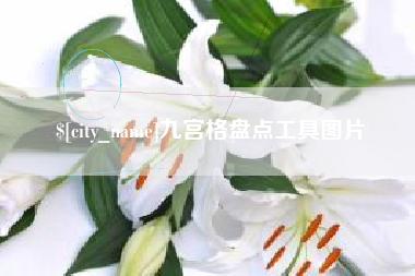汕尾九宫格盘点工具图片