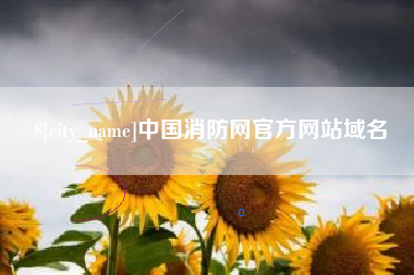 汕尾中国消防网官方网站域名