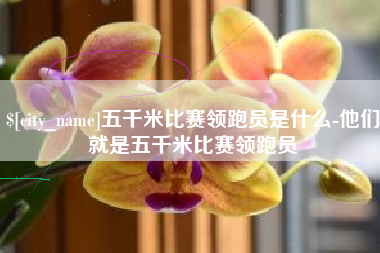汕尾五千米比赛领跑员是什么-他们就是五千米比赛领跑员