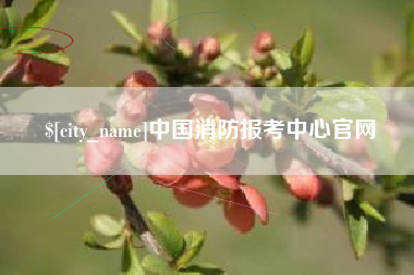 汕尾中国消防报考中心官网