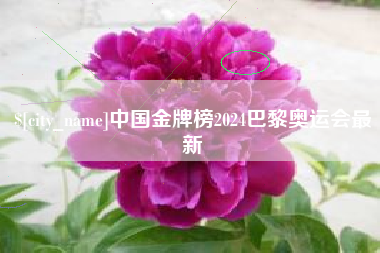 汕尾中国金牌榜2024巴黎奥运会最新