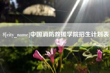 汕尾中国消防救援学院招生计划表
