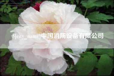 汕尾中国消防设备有限公司