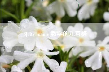 汕尾数字的九宫格