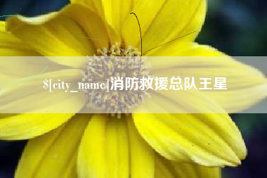 汕尾消防救援总队王星