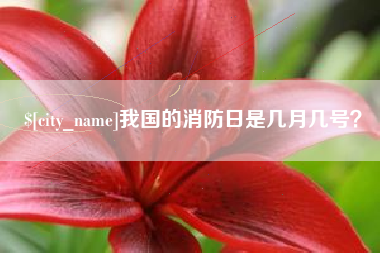 汕尾我国的消防日是几月几号？