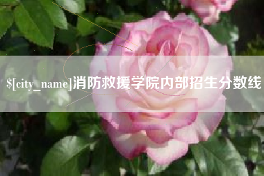 汕尾消防救援学院内部招生分数线