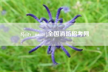 汕尾全国消防招考网