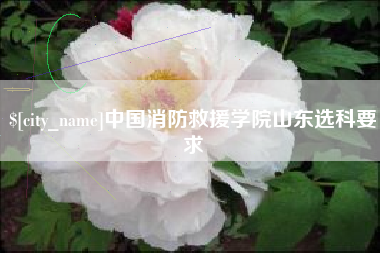汕尾中国消防救援学院山东选科要求