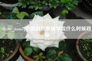 汕尾中国消防救援学院什么时候政审