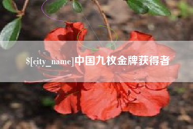 汕尾中国九枚金牌获得者