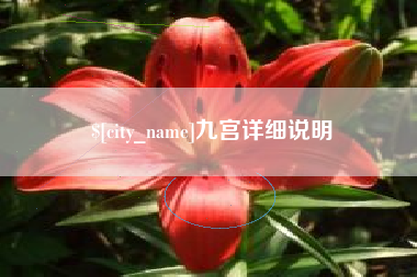 汕尾九宫详细说明