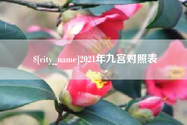 汕尾2021年九宫对照表