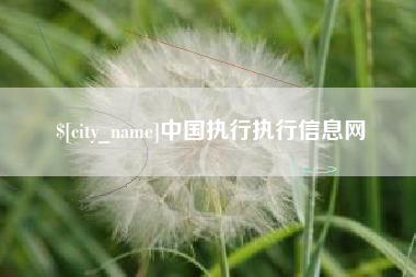 汕尾中国执行执行信息网