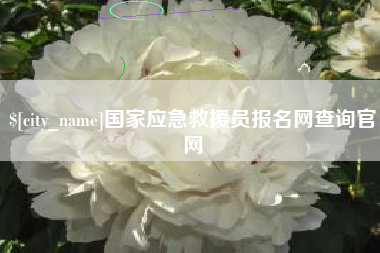 汕尾国家应急救援员报名网查询官网