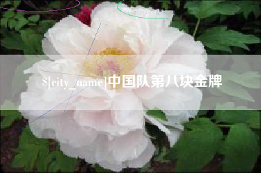 汕尾中国队第八块金牌