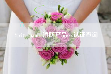 汕尾消防产品ccc认证查询