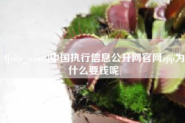 汕尾中国执行信息公开网官网app为什么要钱呢
