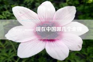 汕尾现在中国哪几个金牌