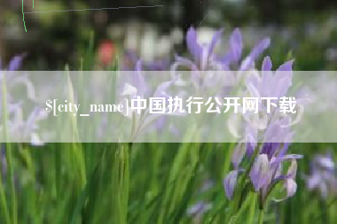 汕尾中国执行公开网下载