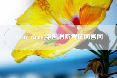 汕尾中国消防考试网官网