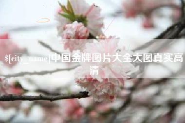 汕尾中国金牌图片大全大图真实高清