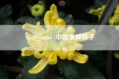 汕尾中国金牌样子
