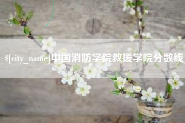 汕尾中国消防学院救援学院分数线