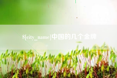 汕尾中国的几个金牌