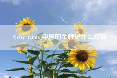 汕尾中国的金牌是什么样的