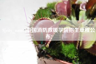 汕尾中国消防救援学院招生章程公布!