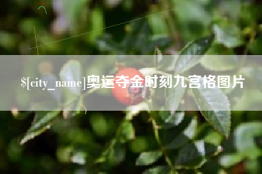 汕尾奥运夺金时刻九宫格图片