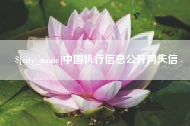 汕尾中国执行信息公开网失信