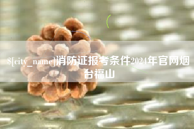 汕尾消防证报考条件2024年官网烟台福山